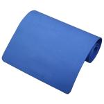 Yogasana Essential yoga mat(2X6 Feet)-blue:1 unit