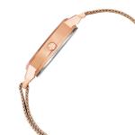 LOUIS DEVIN Rose Gold Plated Mesh Chain Analog Wrist Watch for Women (Black/Blue/Rose Gold Dial) | RG162