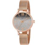Carlington Analog Watches for Women with mesh Strap - CT 2018