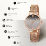 Carlington Analog Watches for Women with mesh Strap - CT 2018